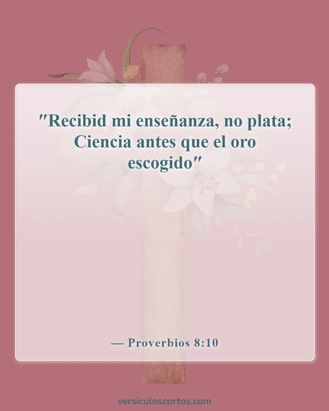 Versículos de la Biblia sobre la falta de conocimiento (Proverbios 8:10)