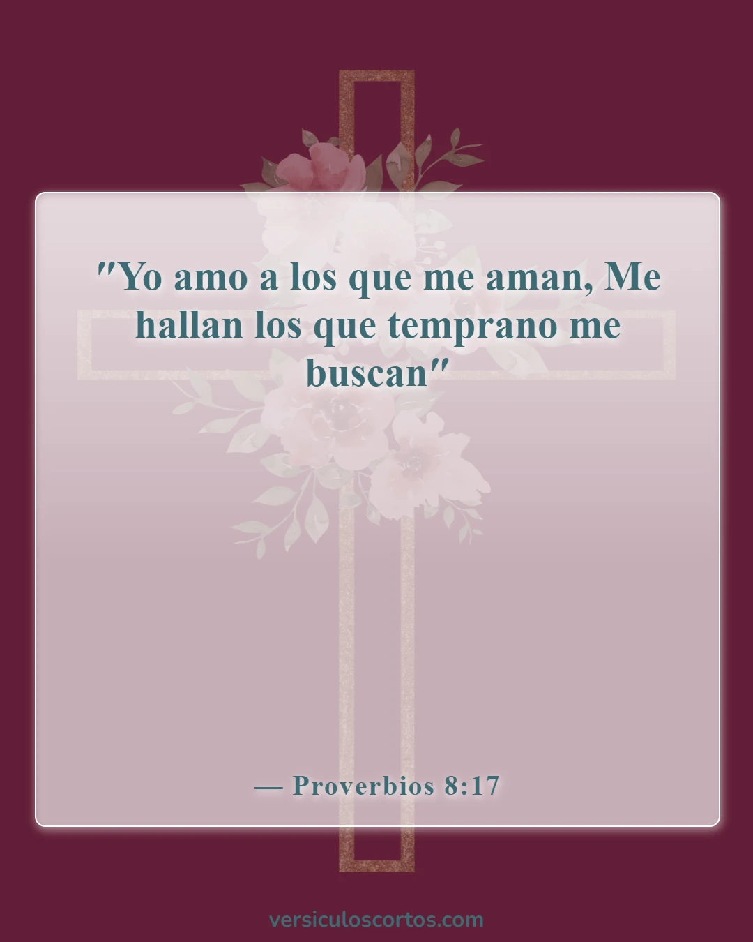 Versículos bíblicos sobre amar al Señor (Proverbios 8:17)