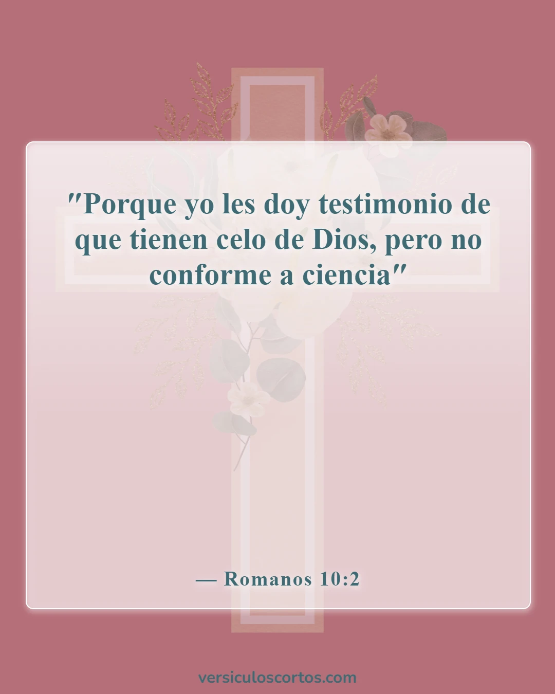 Versículos de la Biblia sobre conocer a Dios (Romanos 10:2)