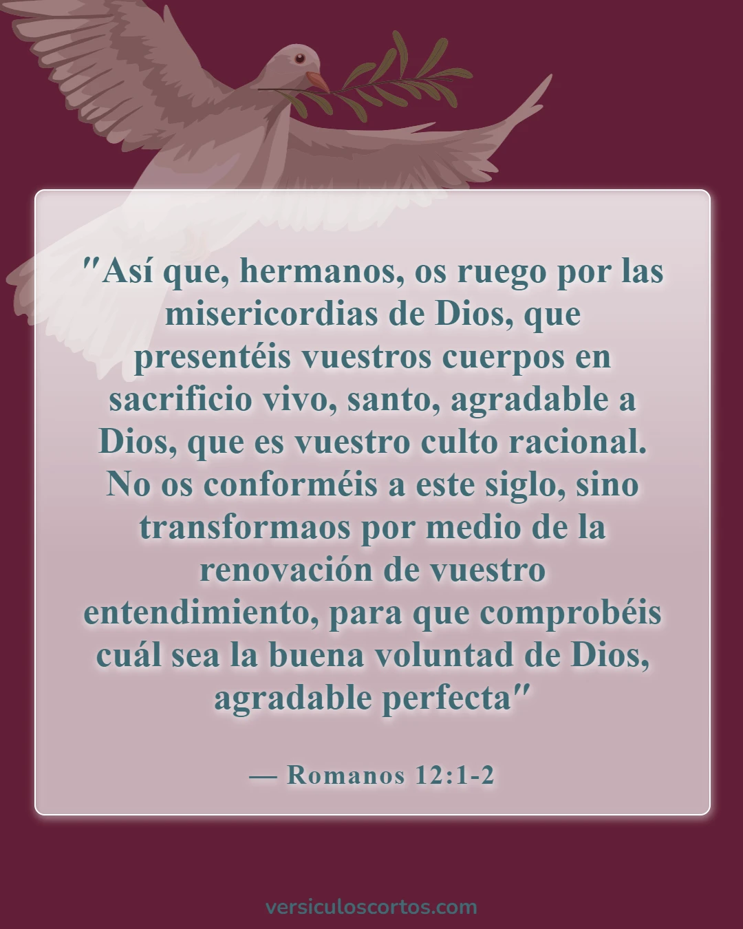 Versículos de la Biblia sobre vivir en el pecado (Romanos 12:1-2)