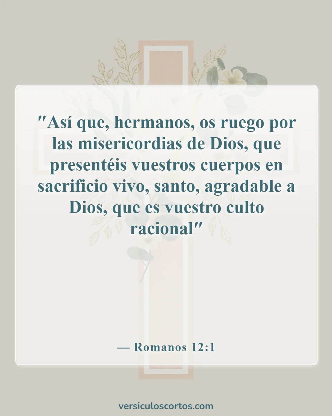 Versículos de la Biblia sobre la Apreciación de la Vida (Romanos 12:1)