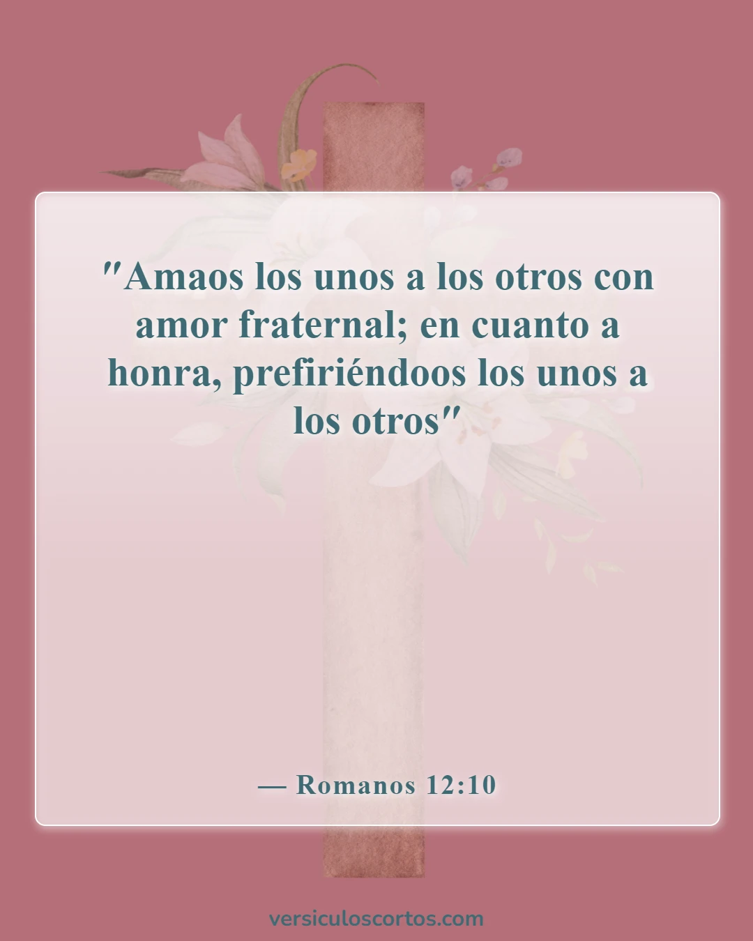 Versículos de la Biblia sobre la compasión hacia los demás (Romanos 12:10)