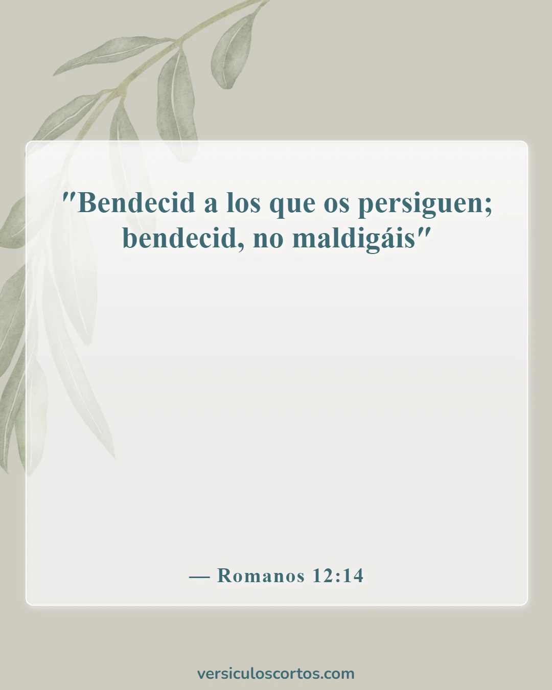 Versículos de la Biblia sobre perdonar a tus enemigos (Romanos 12:14)