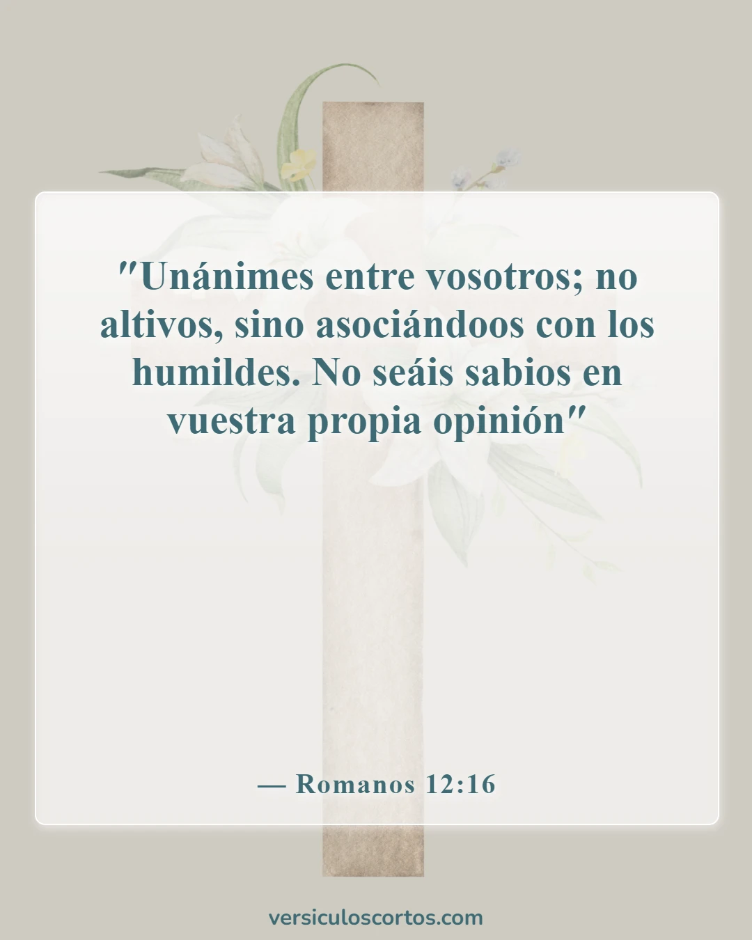 Versículos de la Biblia sobre salir con un no creyente (Romanos 12:16)