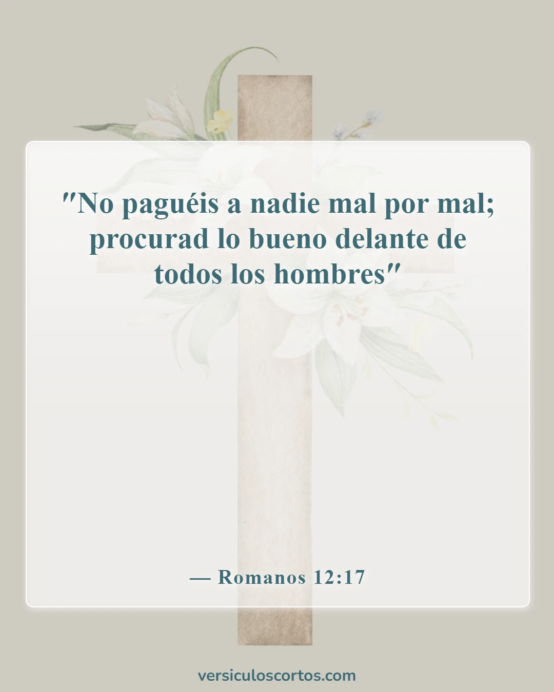 Versículos de la Biblia sobre perdonar a tus enemigos (Romanos 12:17)