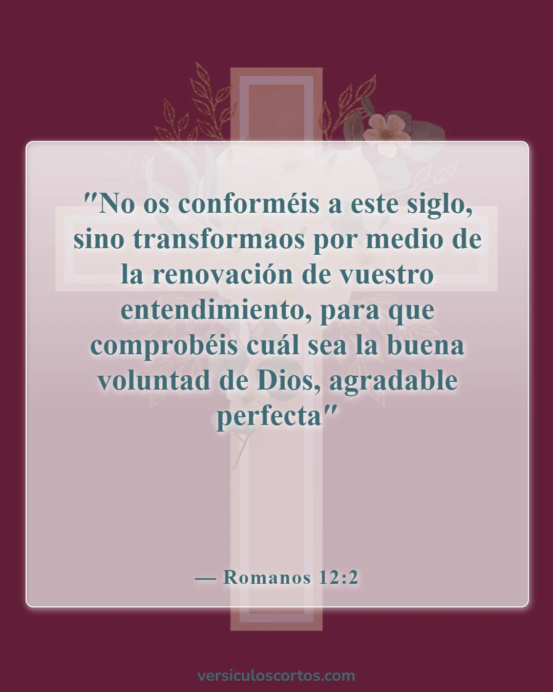 Versículos de la Biblia sobre el verdadero cristiano (Romanos 12:2)
