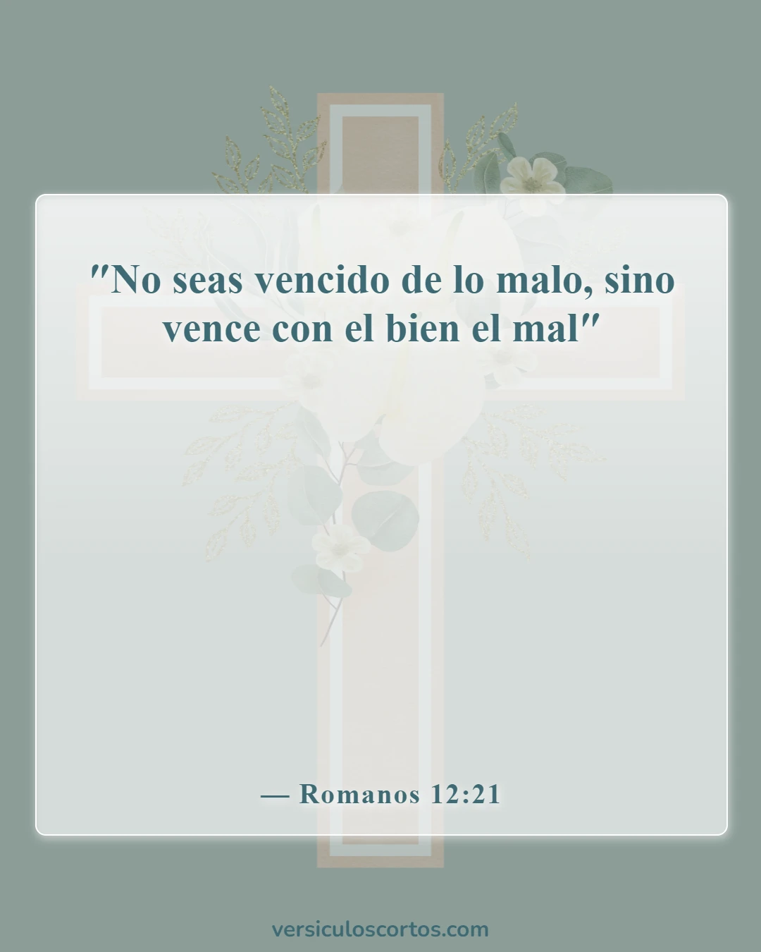 Versículos de la Biblia sobre salir con un no creyente (Romanos 12:21)