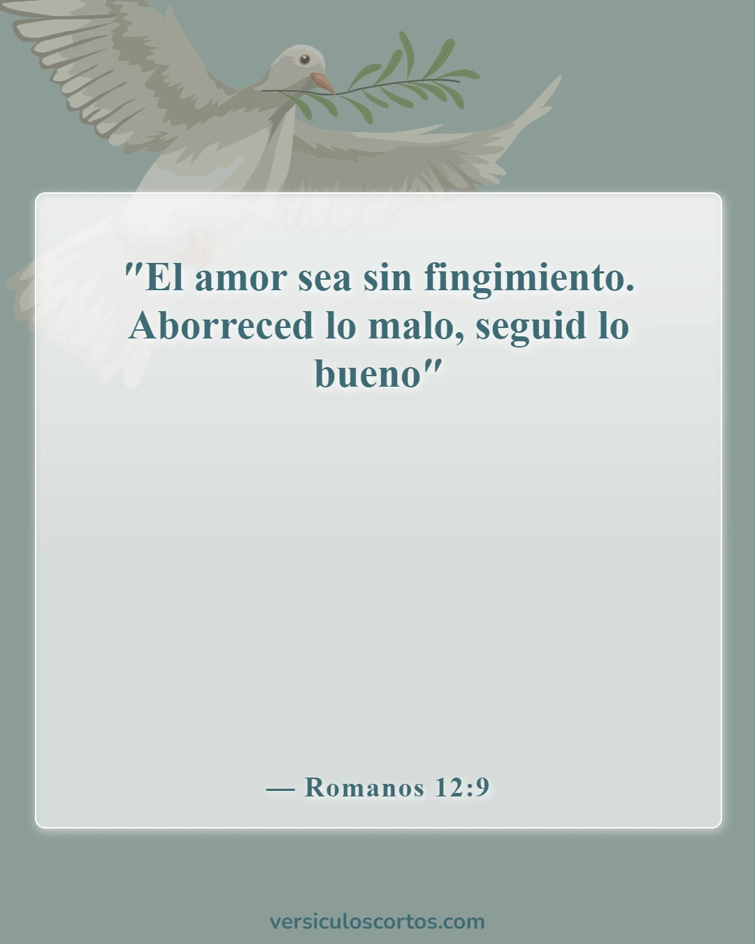 Versículos de la Biblia sobre salir con un no creyente (Romanos 12:9)