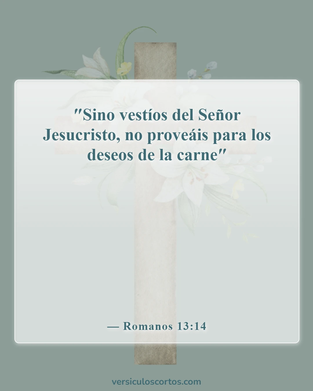 Versículos de la Biblia sobre las tentaciones (Romanos 13:14)