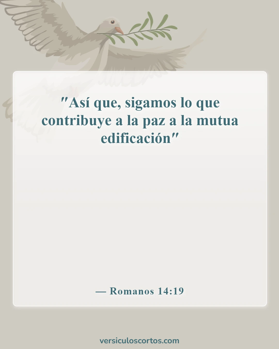 Versículos de la Biblia sobre perdonar a tus enemigos (Romanos 14:19)