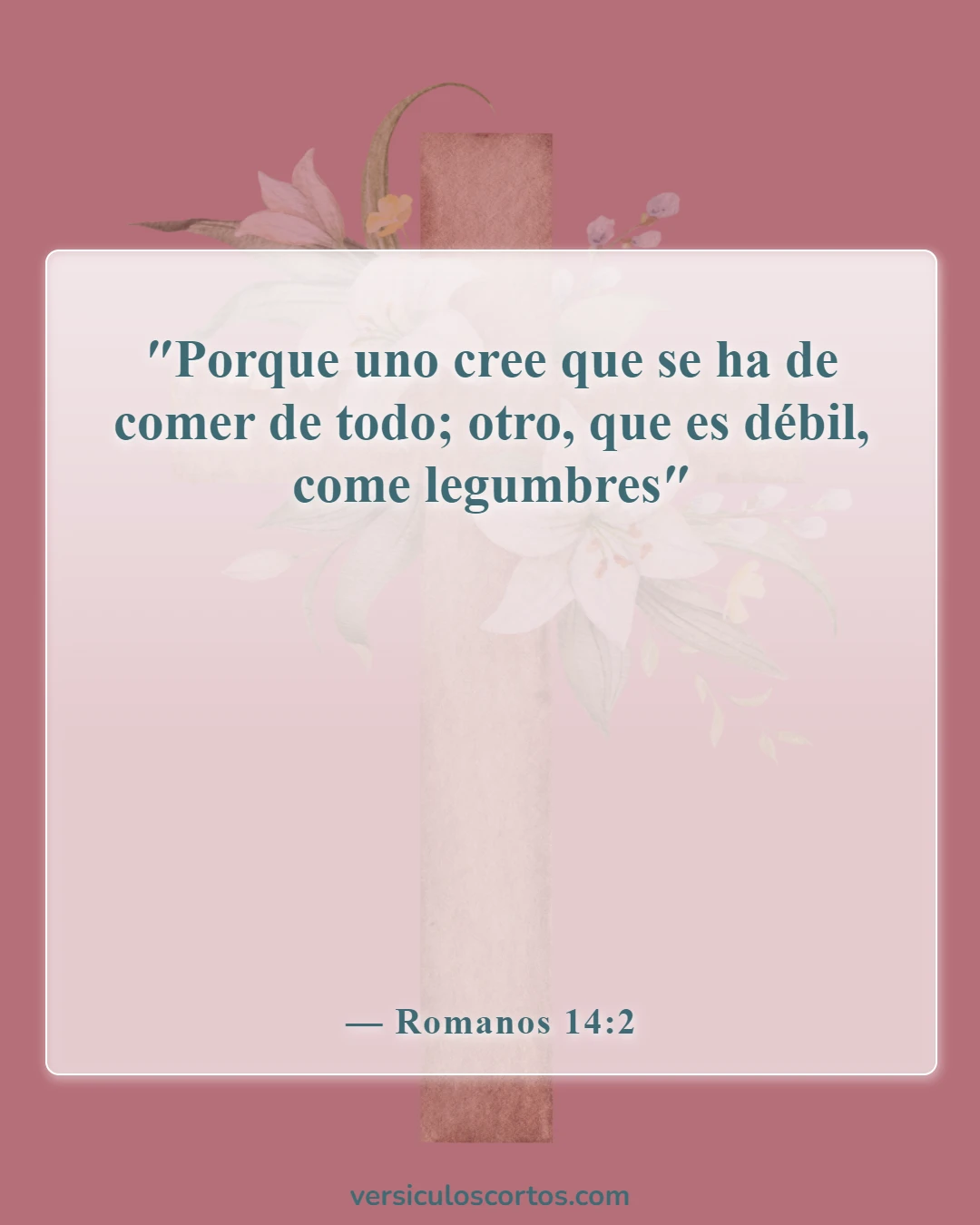 Versículos de la Biblia sobre comer animales (Romanos 14:2)
