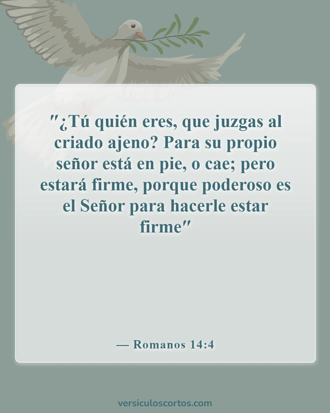 Versículos de la Biblia sobre culpar (Romanos 14:4)