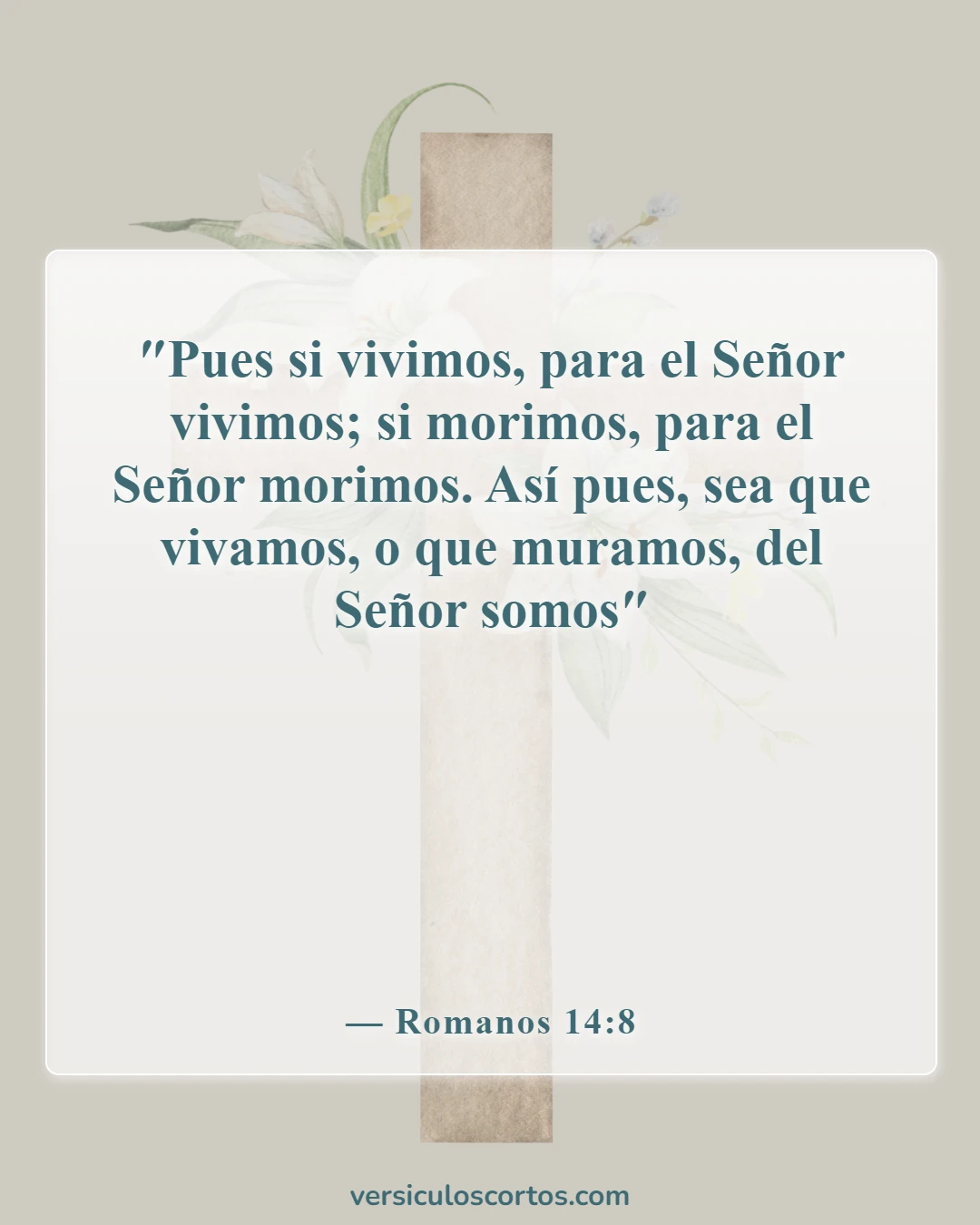 Versículos de la Biblia sobre la Apreciación de la Vida (Romanos 14:8)