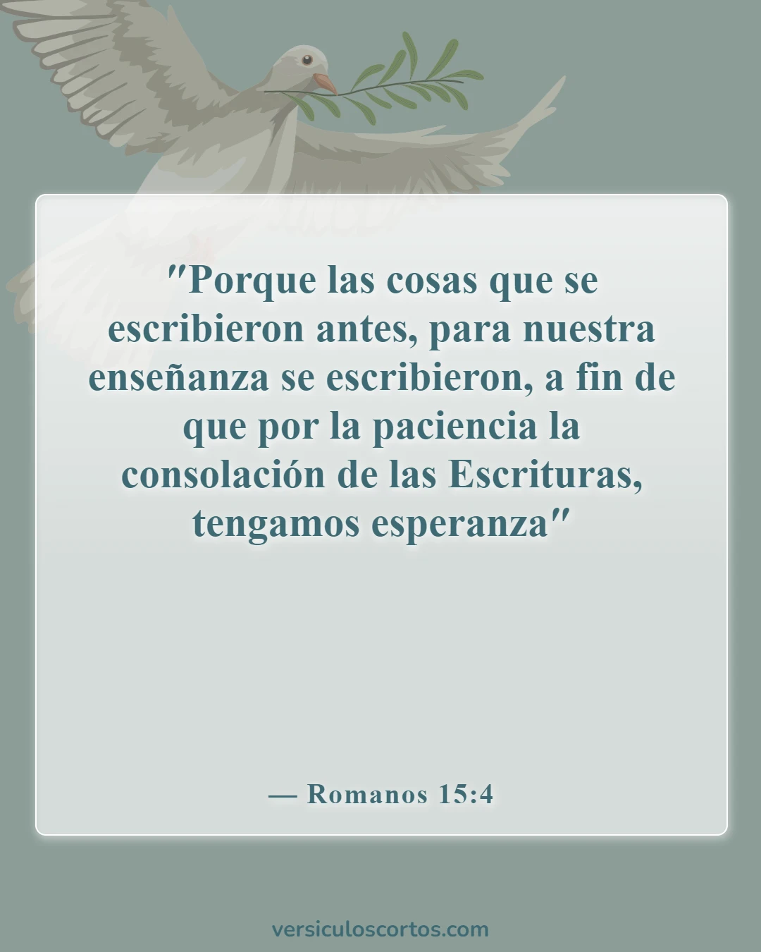 Versículos de la Biblia sobre salir con un no creyente (Romanos 15:4)