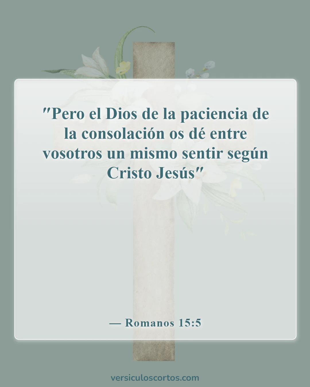 Versículos de la Biblia sobre novios y novias (Romanos 15:5)