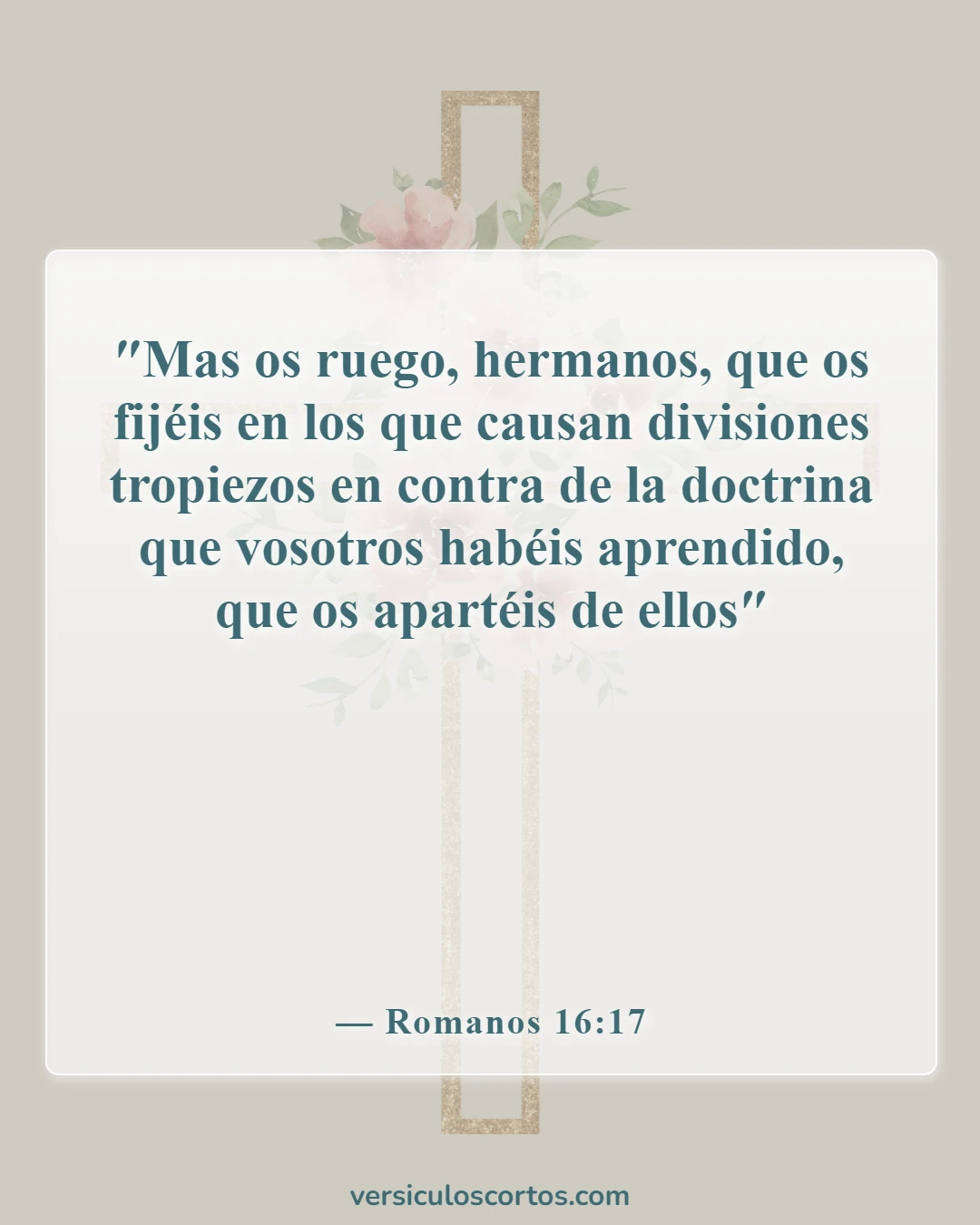 Versículos de la Biblia sobre salir con un no creyente (Romanos 16:17)