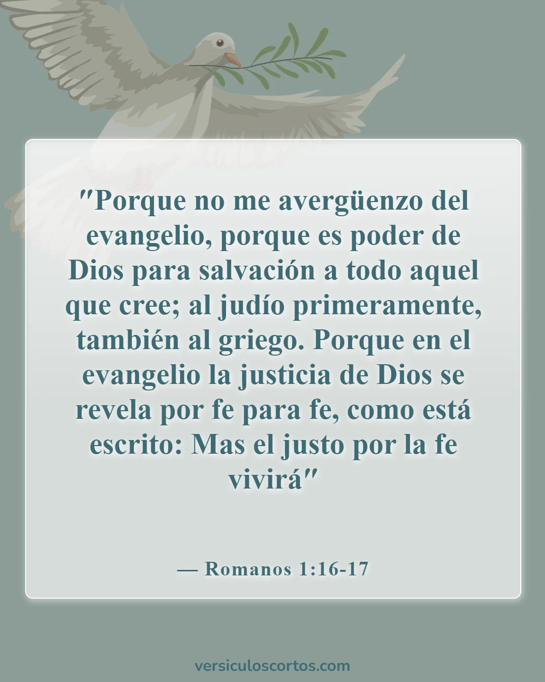 Versículos de la Biblia sobre los cristianos nacidos de nuevo (Romanos 1:16-17)