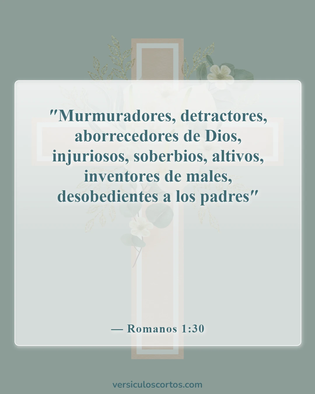 Versículos bíblicos sobre honrar a los padres (Romanos 1:30)
