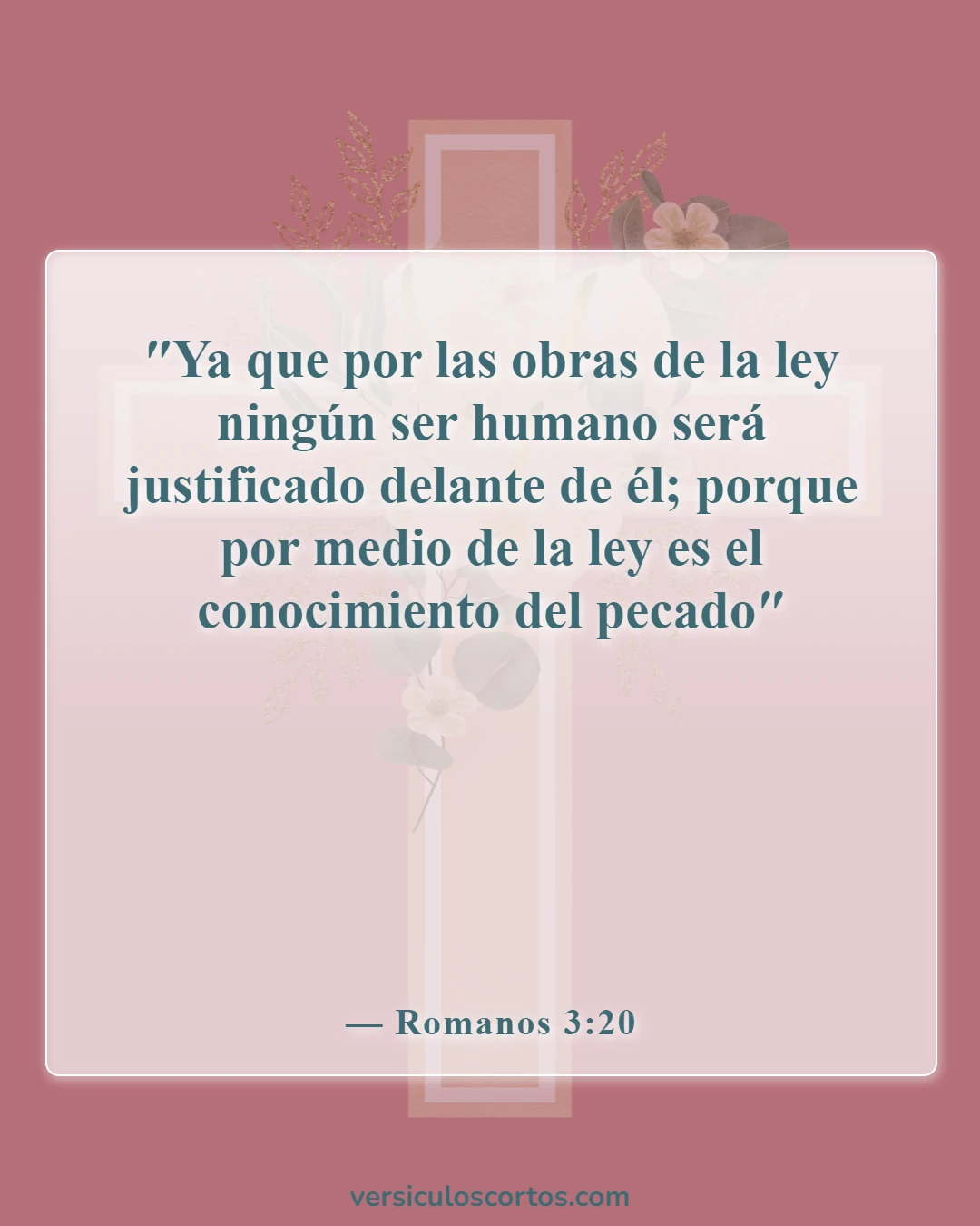 Versículos bíblicos sobre el propósito de la ley (Romanos 3:20)