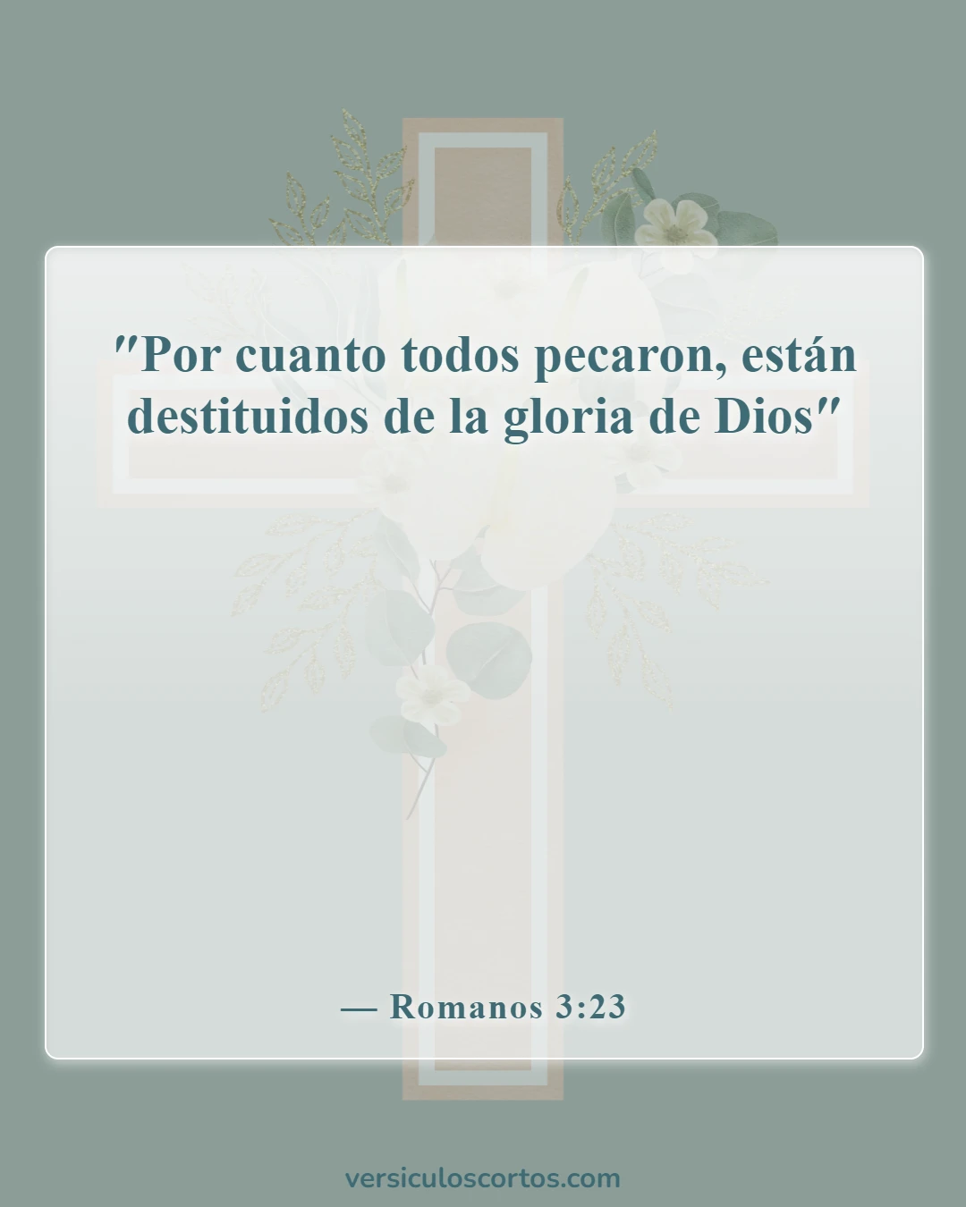 Versículos de la Biblia sobre cómo ser salvo (Romanos 3:23)