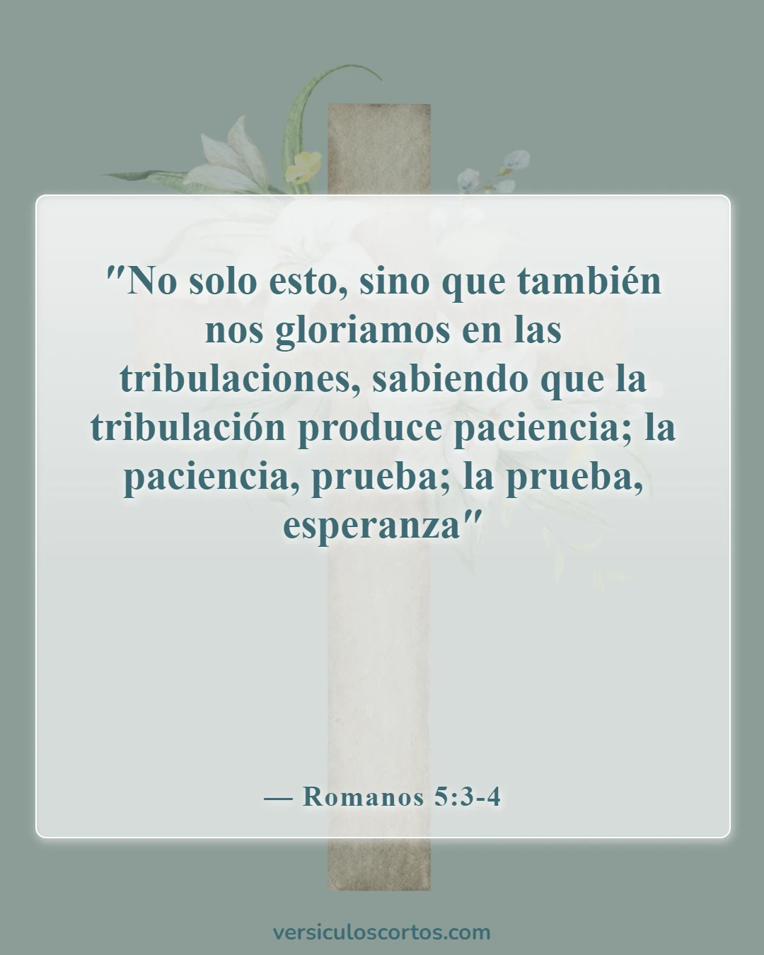 Versículos de la Biblia para parejas en tiempos difíciles (Romanos 5:3-4)