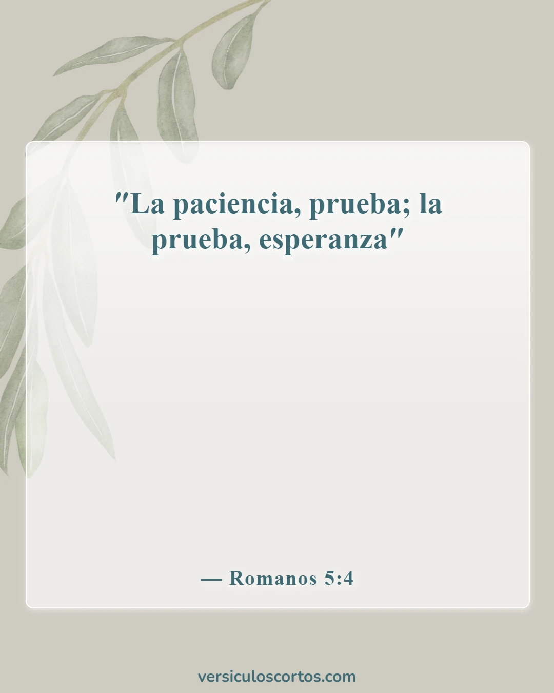 Versículos de la Biblia sobre el carácter del hombre (Romanos 5:4)