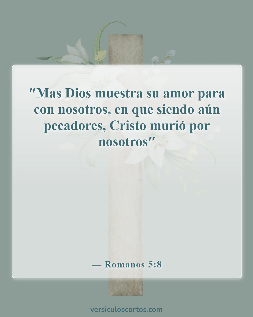 Versículos bíblicos sobre la salvación (Romanos 5:8)