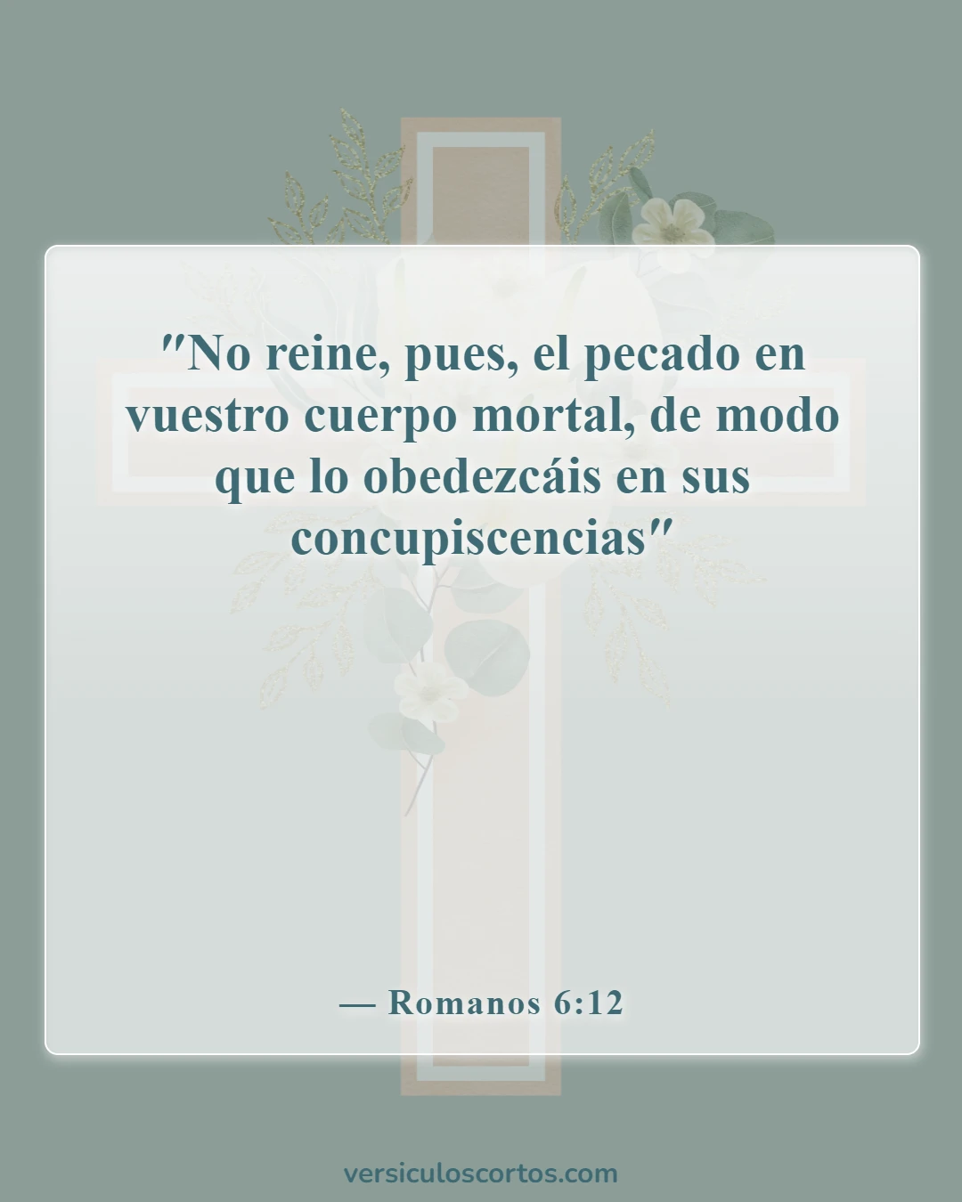 Versículos bíblicos sobre el cristiano carnal (Romanos 6:12)