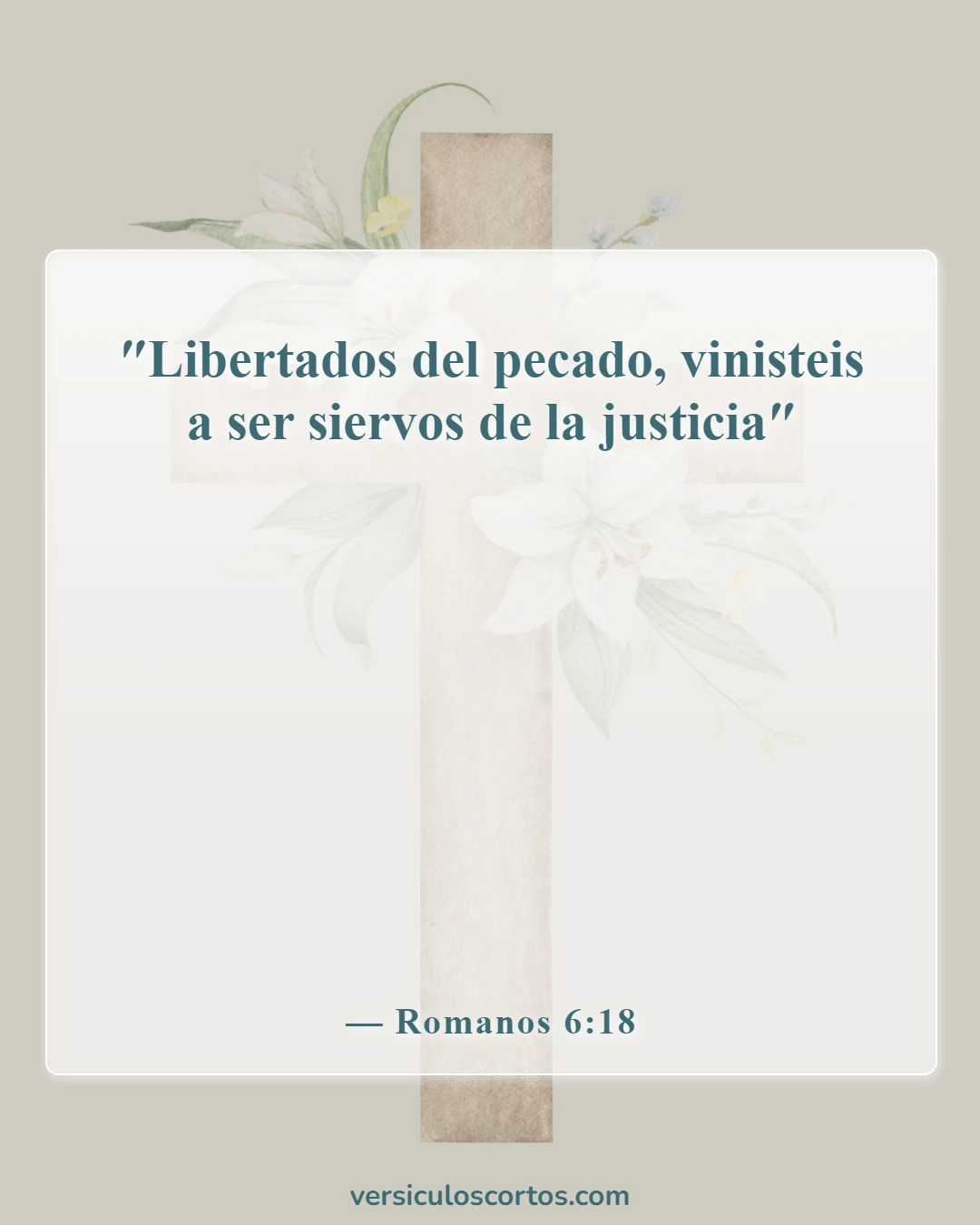Versículos de la Biblia sobre la libertad en Cristo (Romanos 6:18)