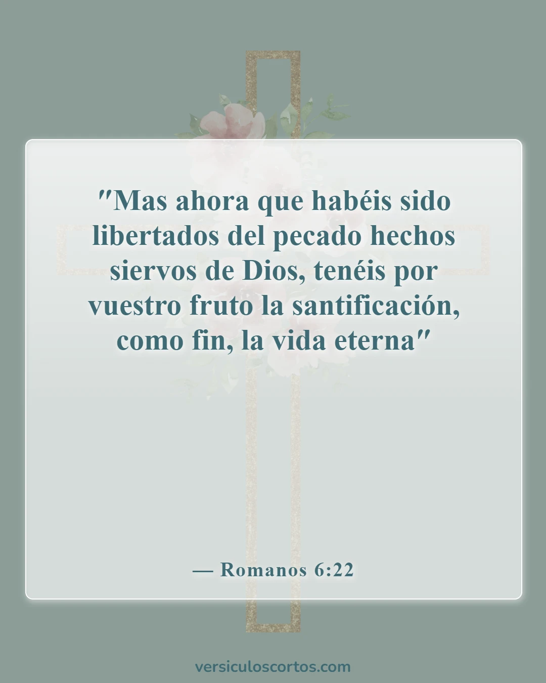 Versículos de la Biblia sobre la libertad en Cristo (Romanos 6:22)