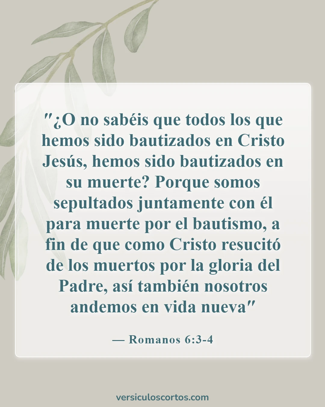 Versículos de la Biblia sobre el bautismo de bebés (Romanos 6:3-4)