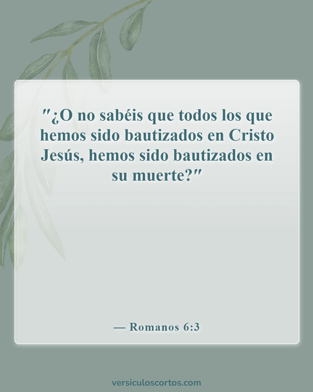 Versículos de la Biblia sobre la Sangre de Jesús (Romanos 6:3)