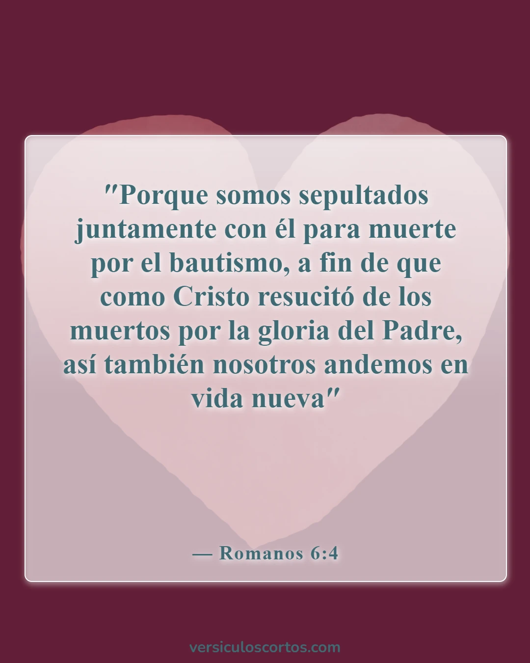 Versículos de la Biblia sobre el Crecimiento Espiritual (Romanos 6:4)