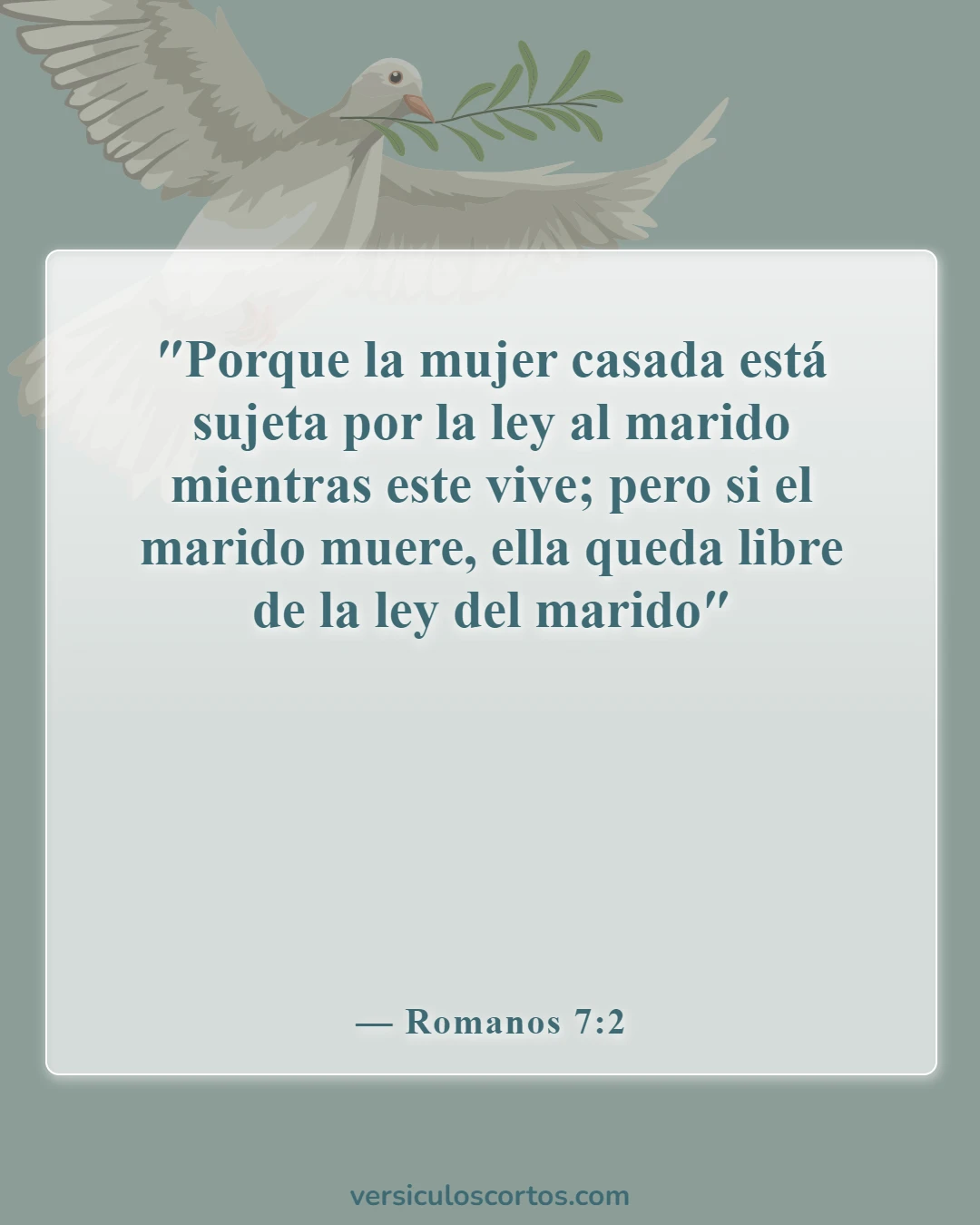 Versículos de la Biblia sobre el divorcio (Romanos 7:2)