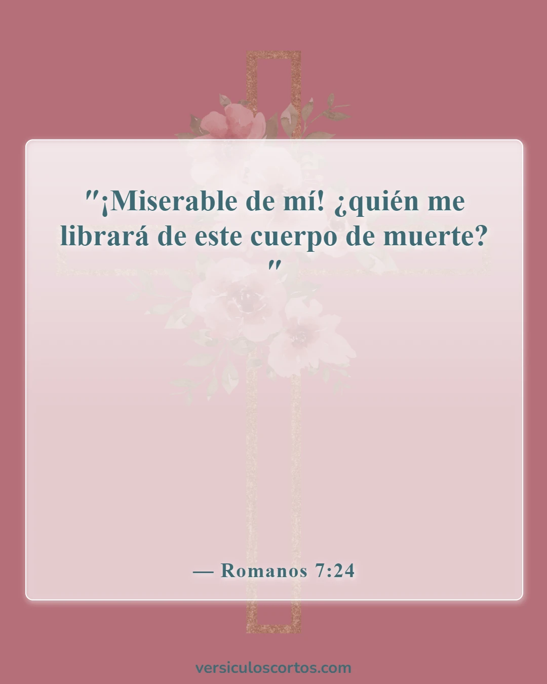 Versículos bíblicos sobre el cristiano carnal (Romanos 7:24)