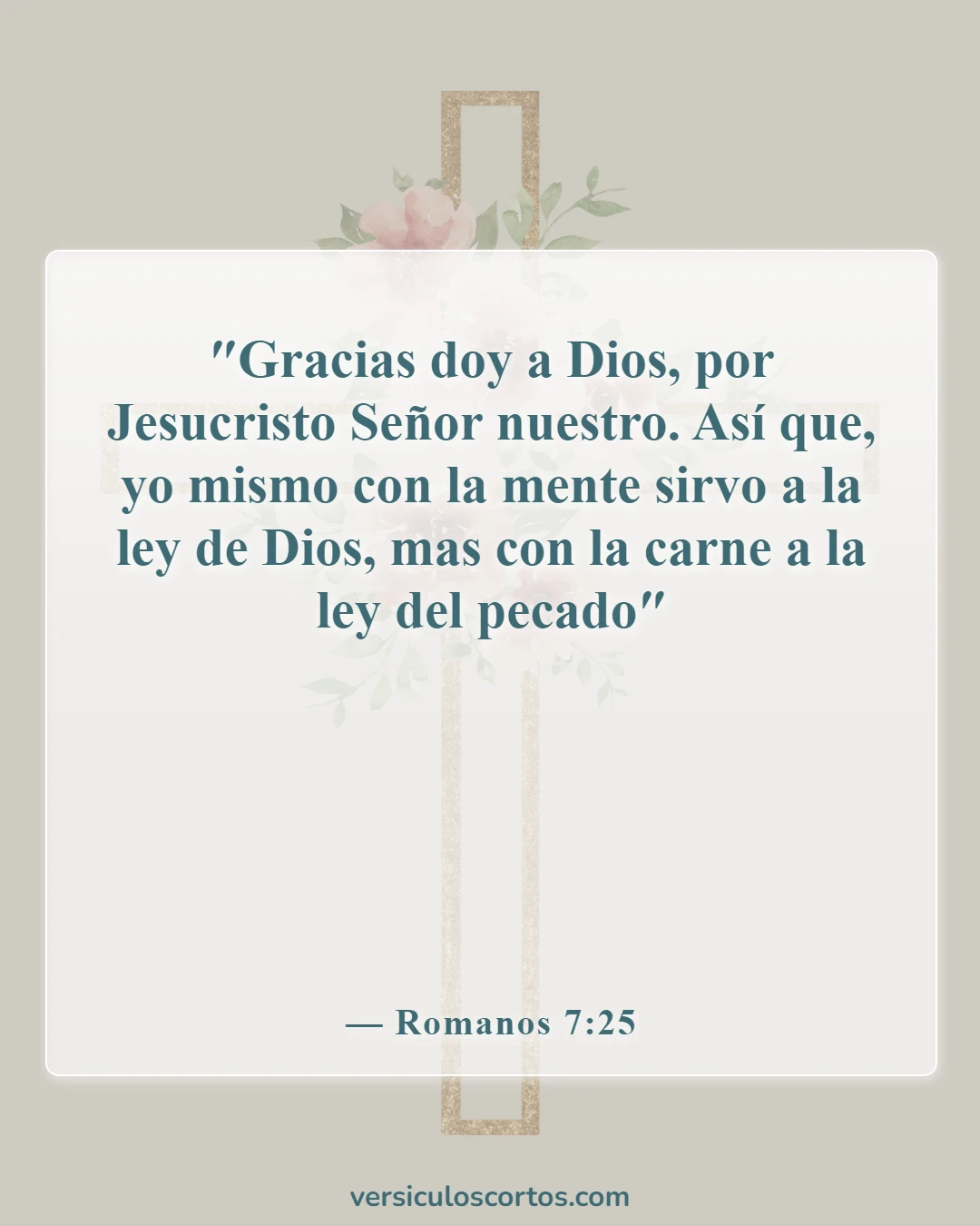 Versículos bíblicos sobre el cristiano carnal (Romanos 7:25)