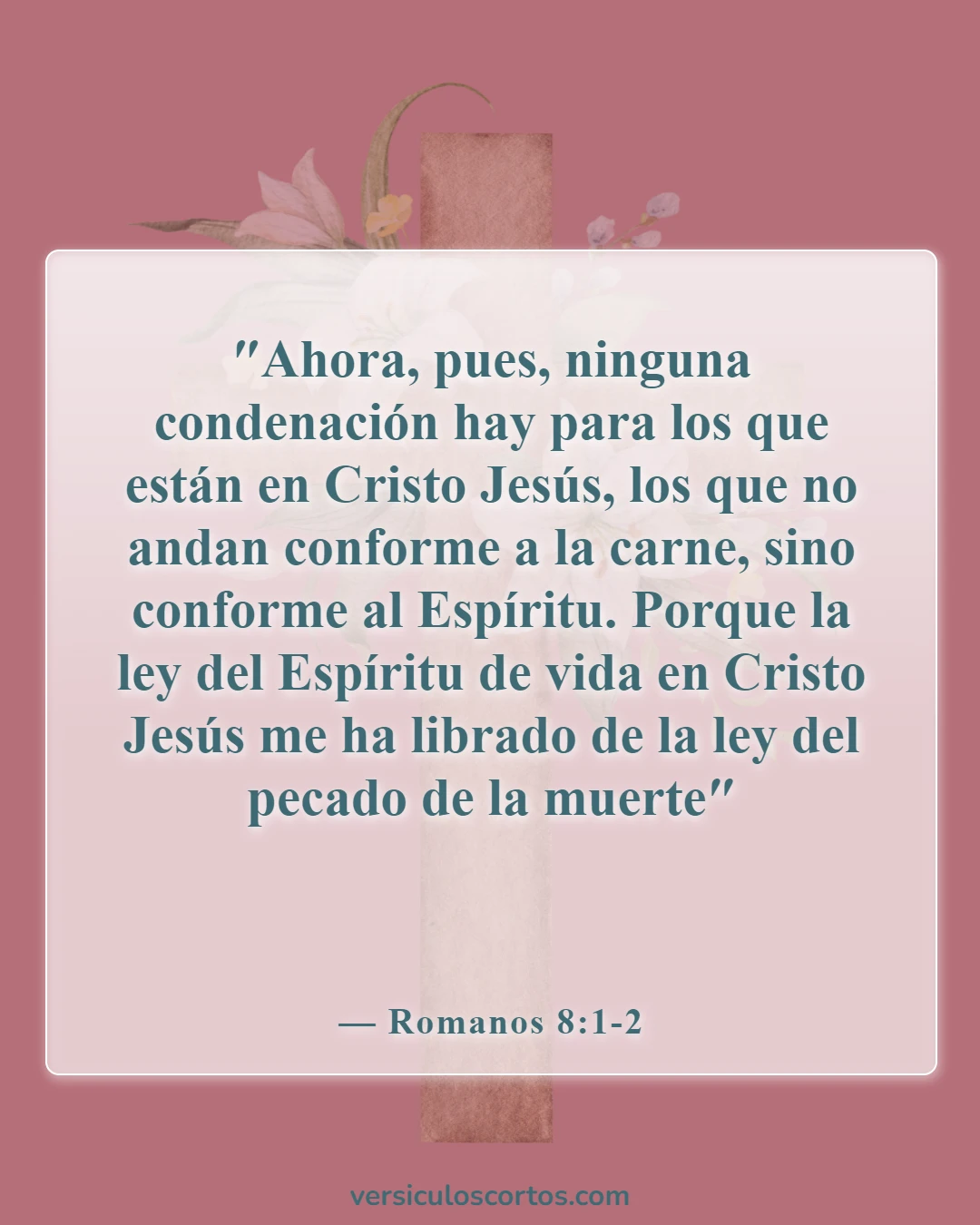 Versículos de la Biblia sobre los cristianos nacidos de nuevo (Romanos 8:1-2)