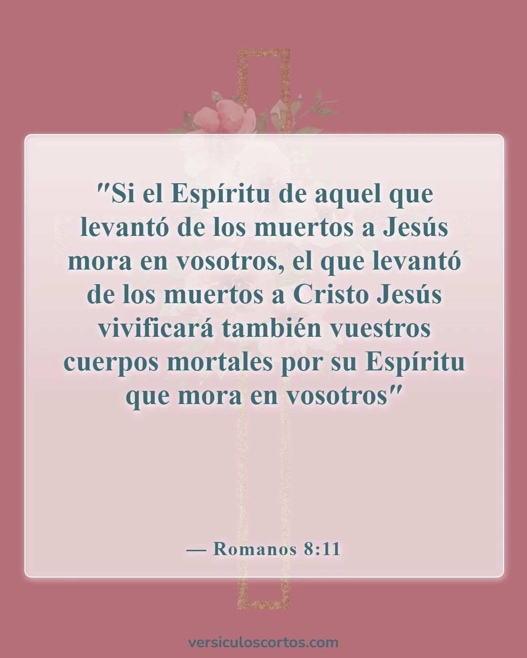 Versículos de la Biblia sobre la vida eterna (Romanos 8:11)