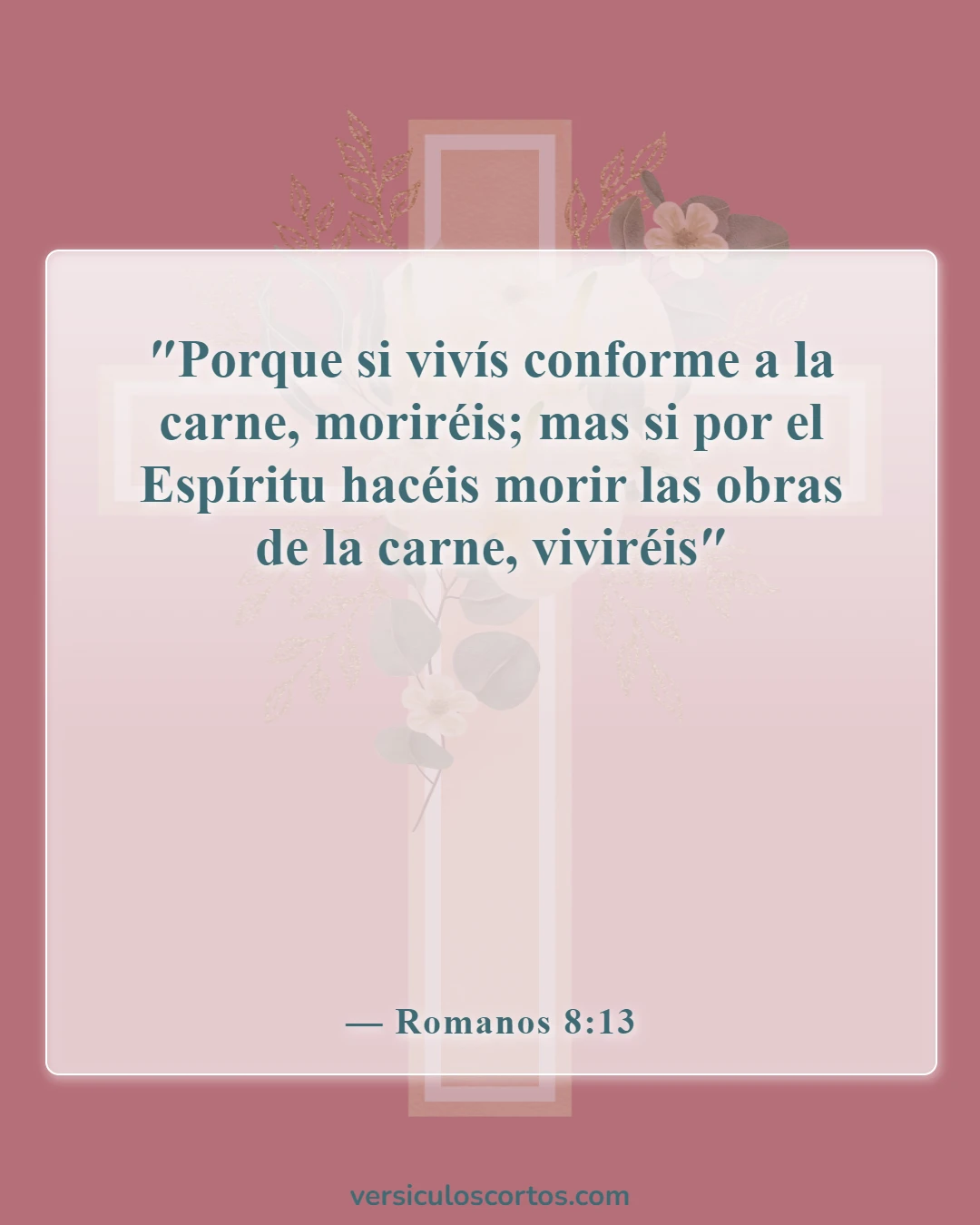 Versículos de la Biblia sobre salir con un no creyente (Romanos 8:13)