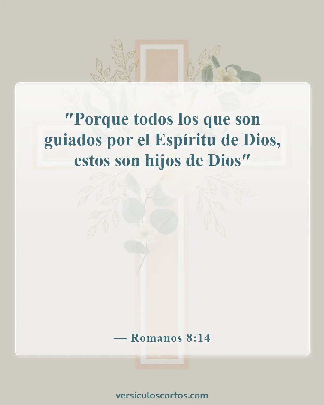 Versículos de la Biblia sobre los creyentes (Romanos 8:14)