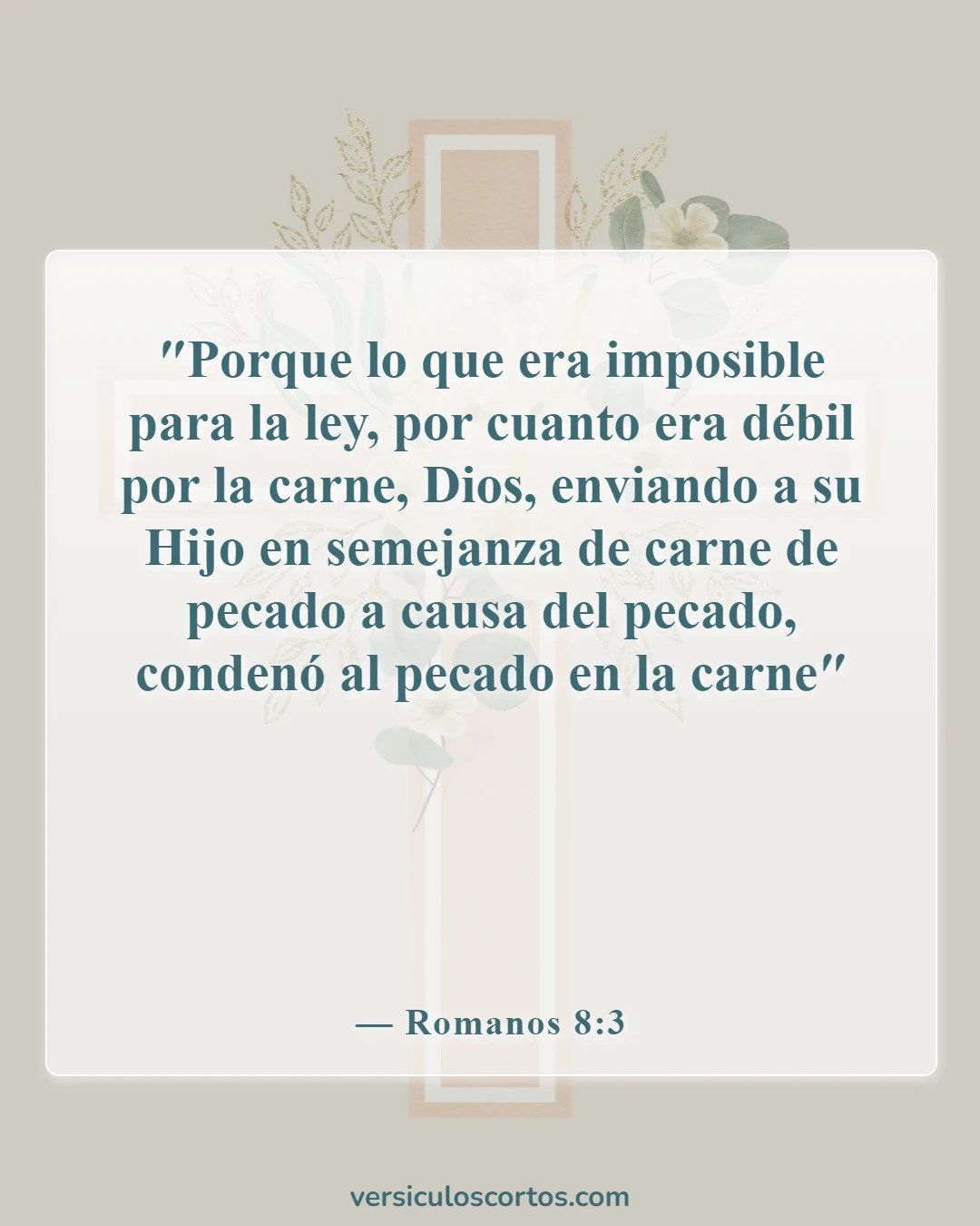 Versículos de la Biblia sobre Jesús como imagen de Dios (Romanos 8:3)