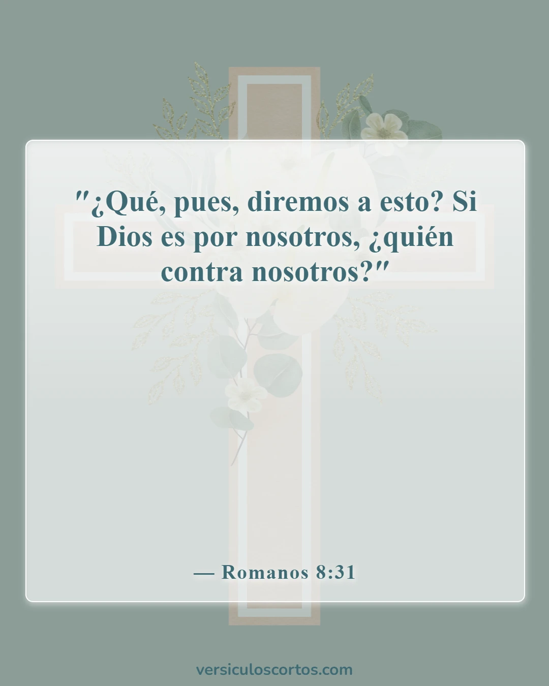 Versículos de la Biblia sobre estar solo (Romanos 8:31)