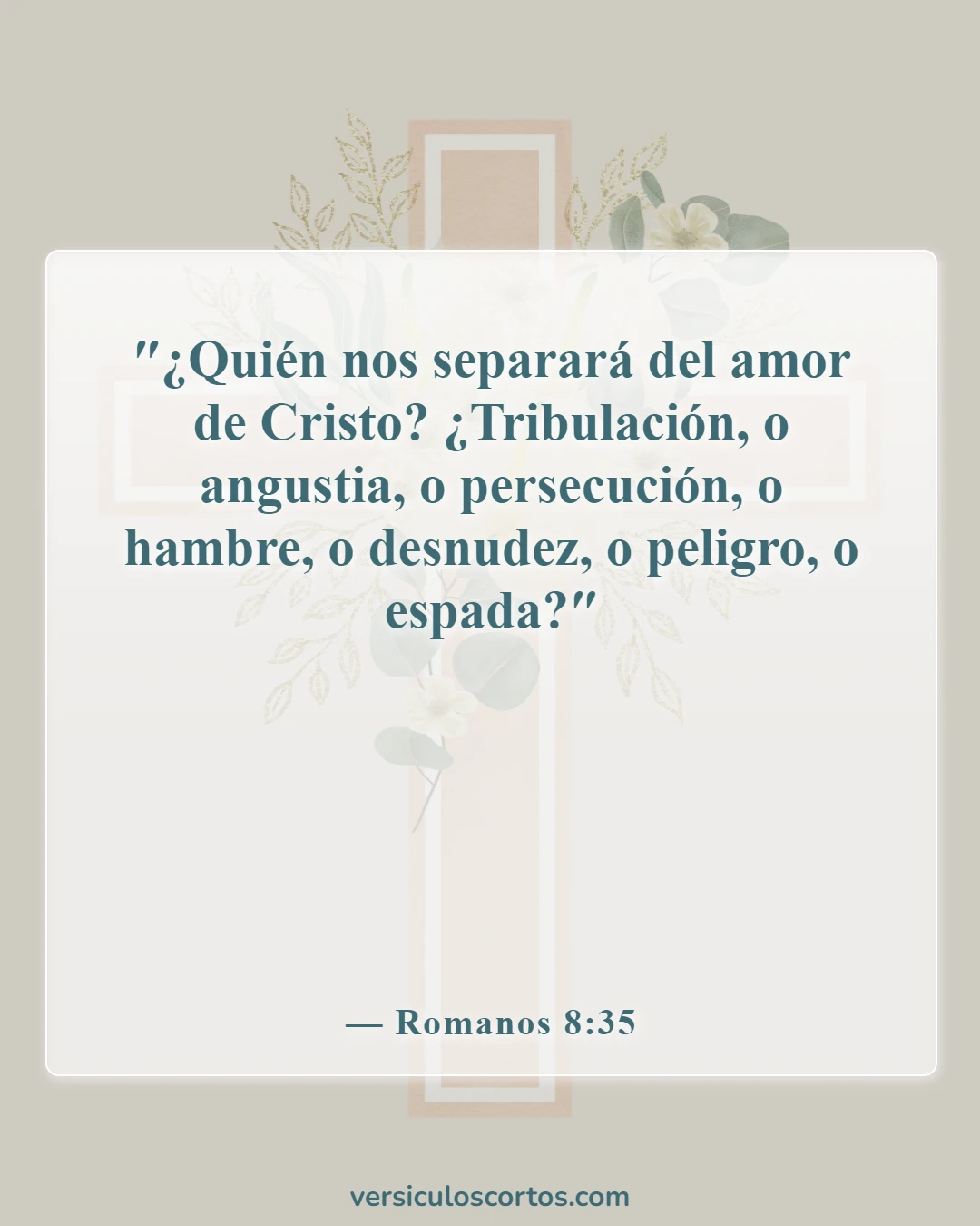 Versículos de la Biblia sobre Jesús como amigo (Romanos 8:35)