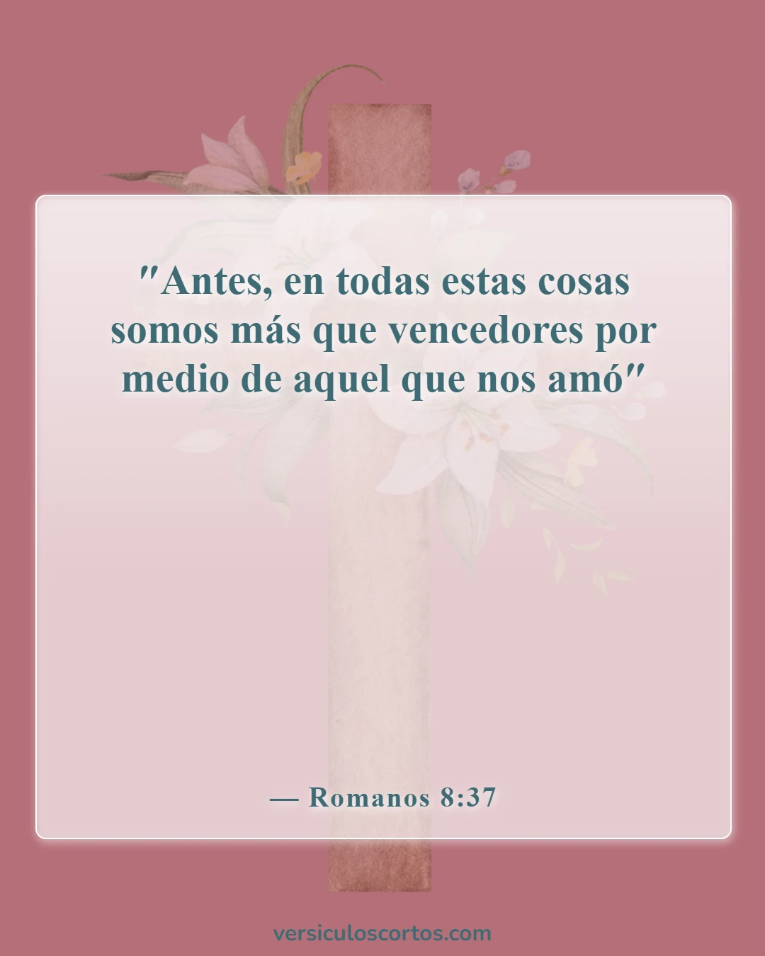 Versículos de la Biblia sobre estar solo (Romanos 8:37)