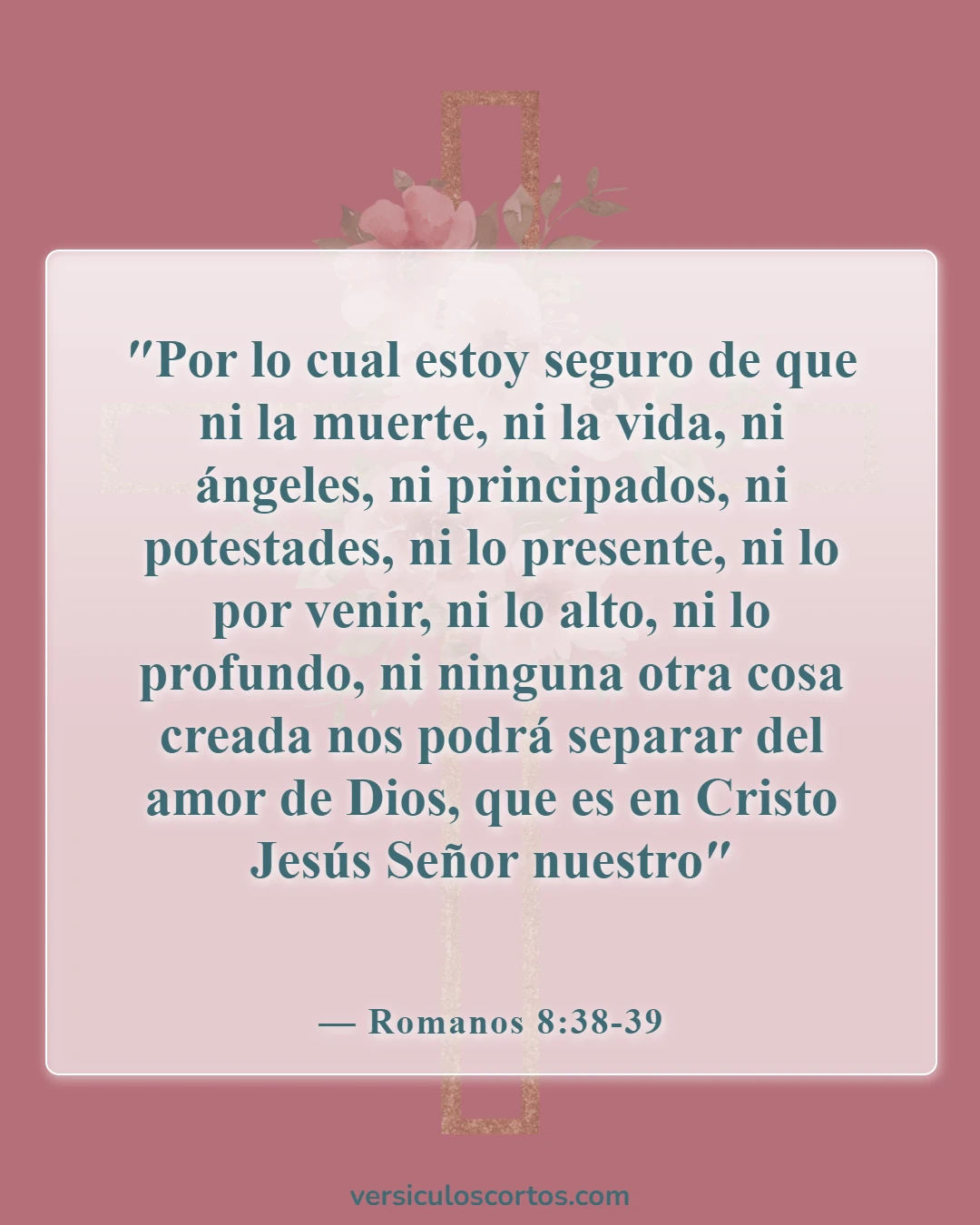 Versículos de la Biblia sobre el verdadero cristiano (Romanos 8:38-39)