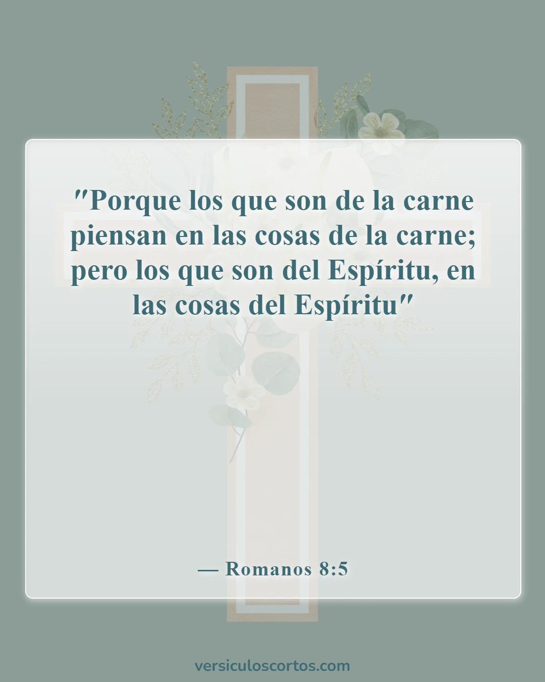 Versículos de la Biblia sobre salir con un no creyente (Romanos 8:5)