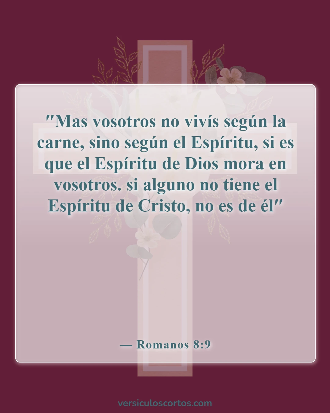 Versículos de la Biblia sobre los creyentes (Romanos 8:9)