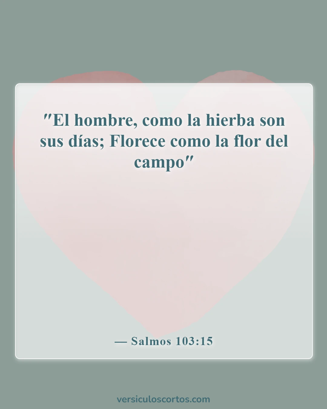 Versículos de la Biblia sobre el hombre (Salmos 103:15)