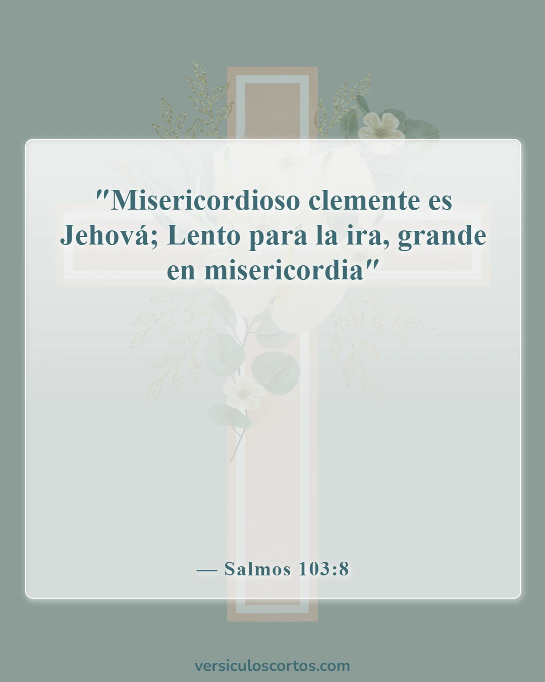 Versículos de la Biblia sobre la compasión hacia los demás (Salmos 103:8)