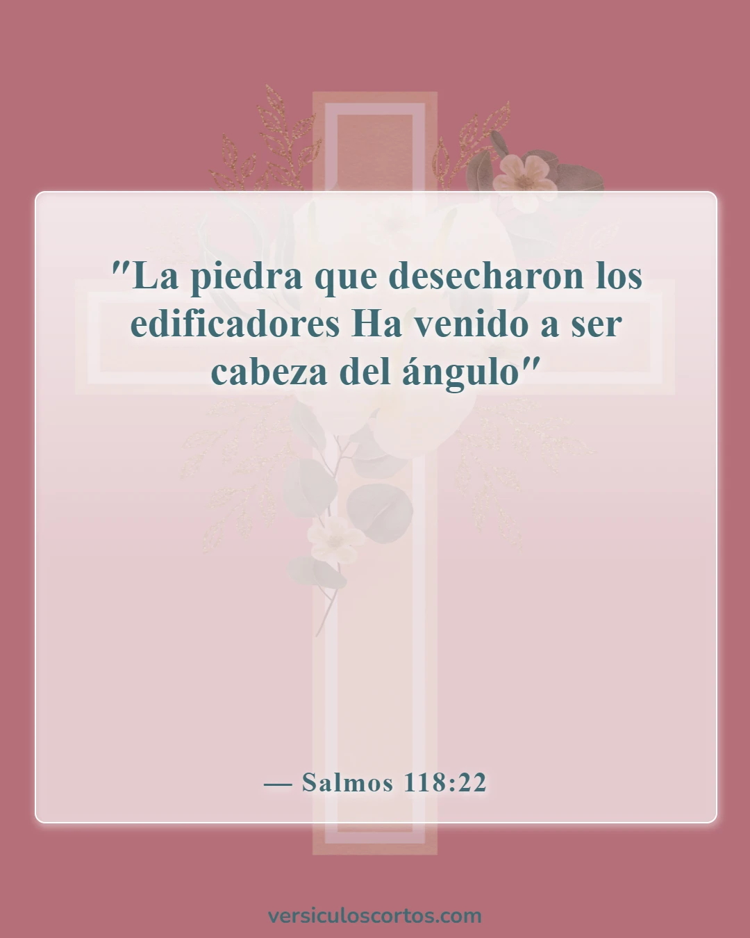 Versículos de la Biblia sobre superar el rechazo (Salmos 118:22)